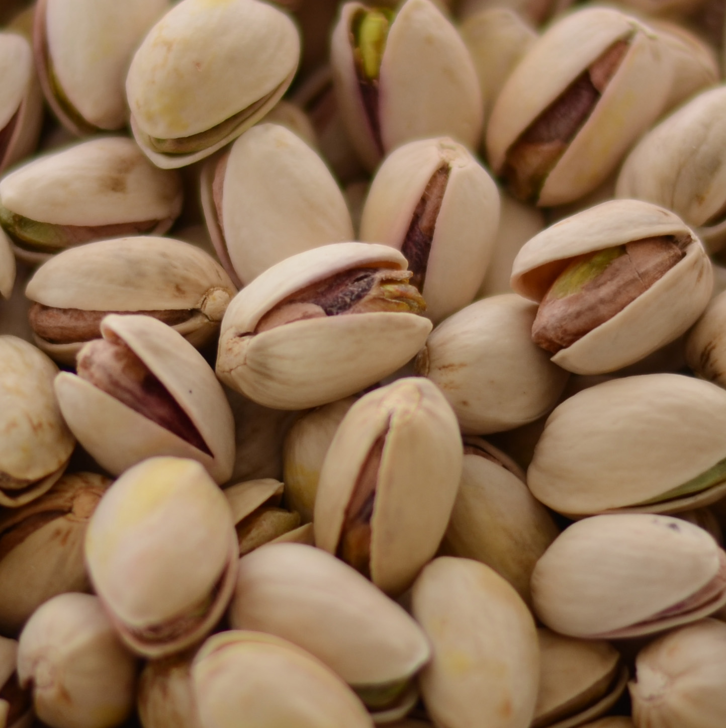 pistachos Fornes
